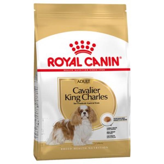 Picture of Royal Canin Cavalier King Charles